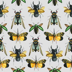 Seamless pattern of watercolor drawn tropical exotic beetles and butterflies (odontolabis, Tosena, Sternocera) background entomological realistic drawing. For the design of textile, print. unusual
