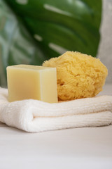 Natural sea sponge with eco sopa bar  on white organic cotton towel  with green monstera leaf on the back.  Eco sustainable cleaning and Zero waste concept.