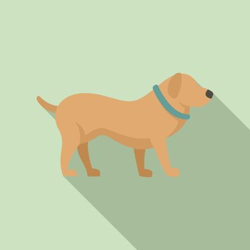 Home dog training icon. Flat illustration of home dog training vector icon for web design
