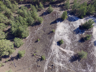 Destruction of a thin layer of forest soil by wheeled transport  (drone image) Deforestation. Ecology of Ukrane. Near Kiev