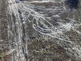 Destruction of a thin layer of forest soil by wheeled transport  (drone image) Deforestation. Ecology of Ukrane. Near Kiev