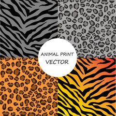 Vector illustration of seamless set zebra pattern