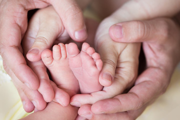 Obraz na płótnie Canvas newborn baby feet