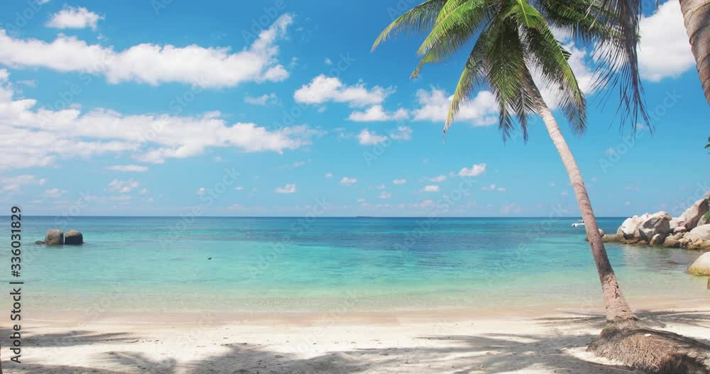 Wall mural beach and coconut palm trees. koh tao, thailand