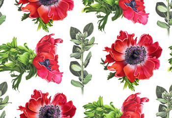 Seamless pattern with  flowers. Red anemone.