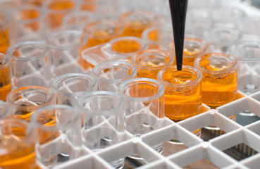 laboratory test tubes with liquid
