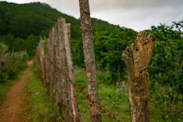 old wooden fence Da Nang, Vietnam, Asia