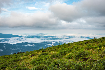 Fototapeta na wymiar Cloud layers on mountain horizon with green grass