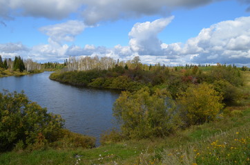 lake in the forest