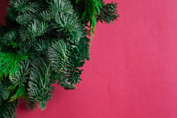Blank for Christmas wreath on a pink background. Christmas wreath of spruce and cypress. Fir and cypress branches. Side view