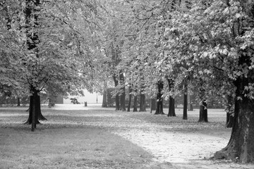 Autumn park in Italy. Black and white vintage style.