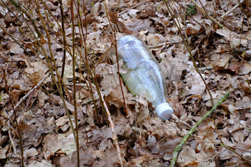 Weggeworfene Getränkeflasche liegt im trockenem Laub