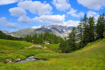 Fototapeta na wymiar pascoli a Cheneil in Valtournanche