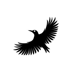 black bird logo design template vector