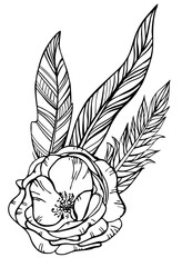 Hand drawn rose and feathers isolated on white. Doodle design element for wedding, invitation, save the date, greeting cards.