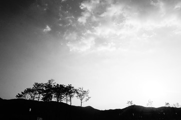 Beside the river (_nearby Cheonggyesan mountain)