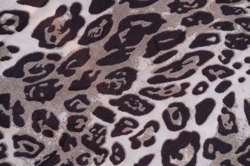 seamless leopard skin texture and background