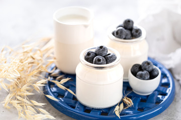 Non-dairy alternative. Vegetable milk or yogurt in a jar on a white background. Oat cream in a glass jar and fresh blueberry on a blue stand and sprigs of oats. Healthy eating concept. Copy space