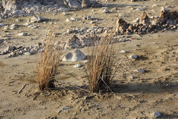 Drought, Theewaterskloof Dam, Western Cape
