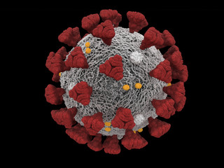 Covid-19 Coronavirus SARS-CoV-2 cell pandemic virus
