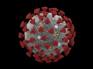 Covid-19 Coronavirus SARS-CoV-2 cell pandemic virus
