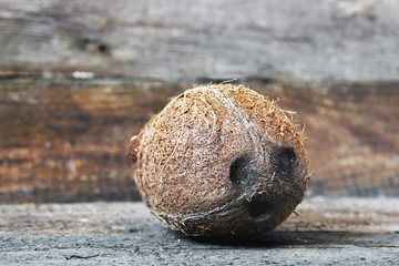Fototapeta na wymiar Coconut on a wooden background. Coconut close up