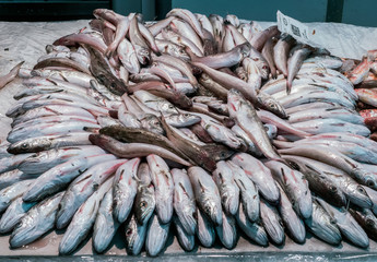 Fototapeta premium Freshly caught fish at the fish market in Cadiz, Andalucia, Spain