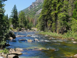Fototapeta na wymiar River in Yosemite