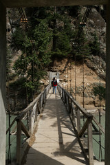 A man walking on a bridge over river in the forest