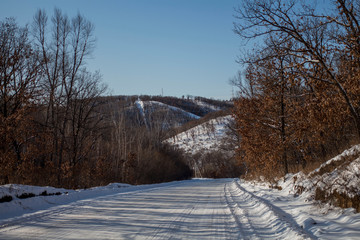 winter road in the forest