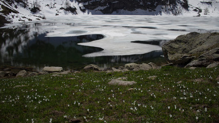 Obraz na płótnie Canvas Sottano della Sella lake at thaw in Valle Gesso