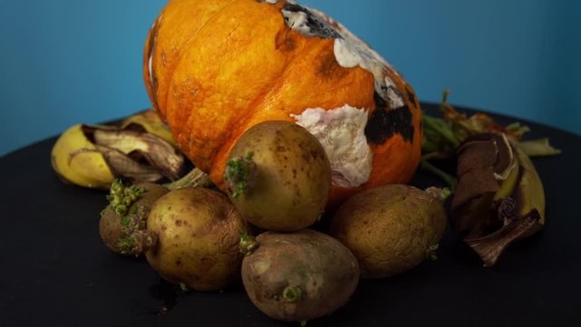 Organic waste rotate on a blue background, rotting pumpkin along with green potato tubers with sprouts, dry peel bananas and apples decomposes into compost.