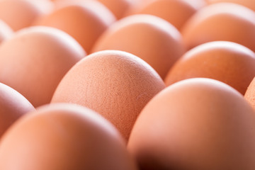 Fresh eggs in box, closeup