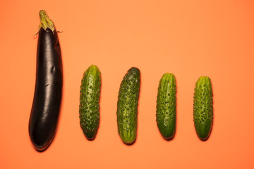 One eggplant and a few cucumbers on a beautiful colored background. Ingredients for fresh vegetable salad
