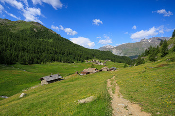 Fototapeta na wymiar pascoli a Cheneil in Valtournanche