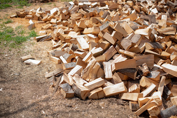 pile of fire wood on field