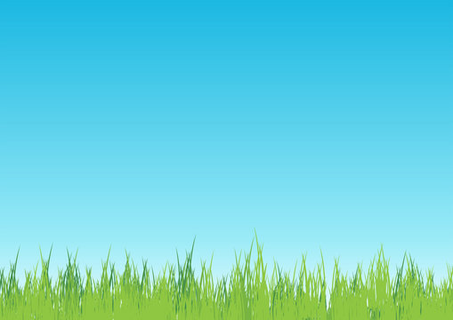 Blades of grass with sky background