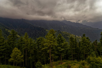 Clouds over the mountains with trees in the foreground