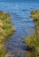 river - grass and blue water