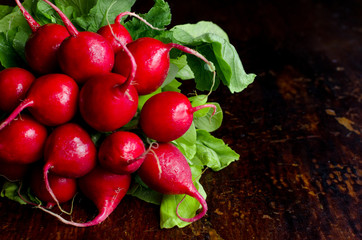 Fresh radish with green tops on a dark wooden background, drops of water on vegetables, space for text, close-up