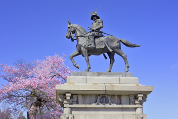 Obraz premium 桜と伊達政宗騎馬像