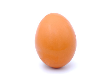 chicken egg isolated on white background
