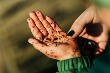 Kinderhände sind dreckig von Erde