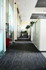 Modern office interior open space