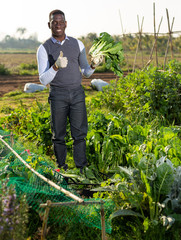 Man with Swiss chard giving thumbs up