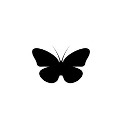 butterfly icon vector
