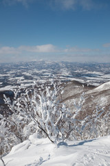 Fototapeta na wymiar Japan Winter wonderland