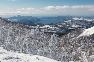 Japan Winter wonderland