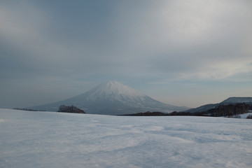 Japan Winter wonderland