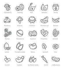 Super food icons. Berries nuts beans ingredients. Diet and detox healthy fruits. Organic selection supplements, vegan vector line symbols. Natural food berry and nutrient collection illustration